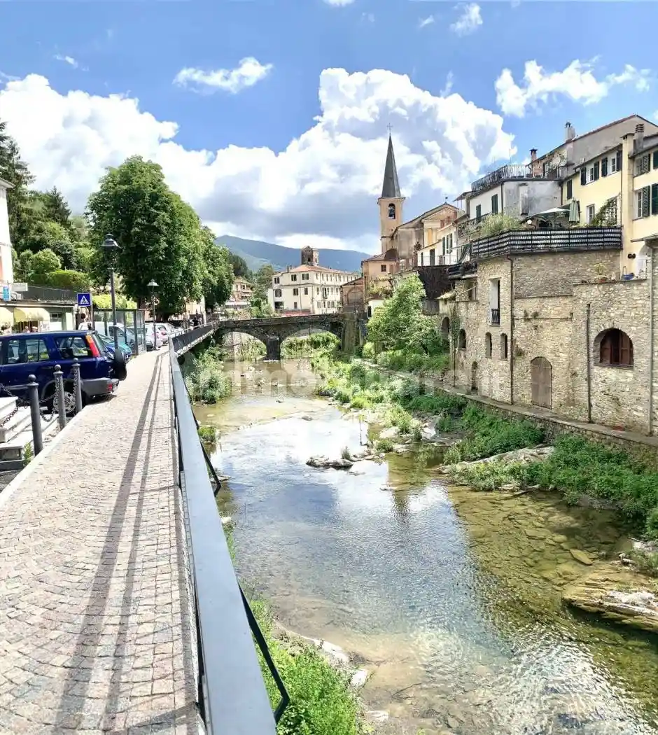 Appartamento in affitto a Borgomaro