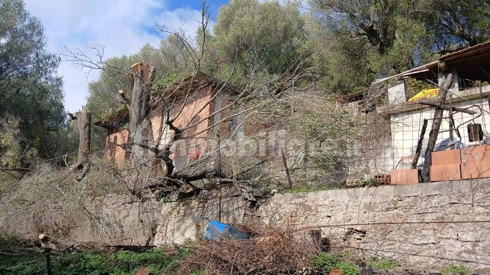 Rustico - Casale - foto 5