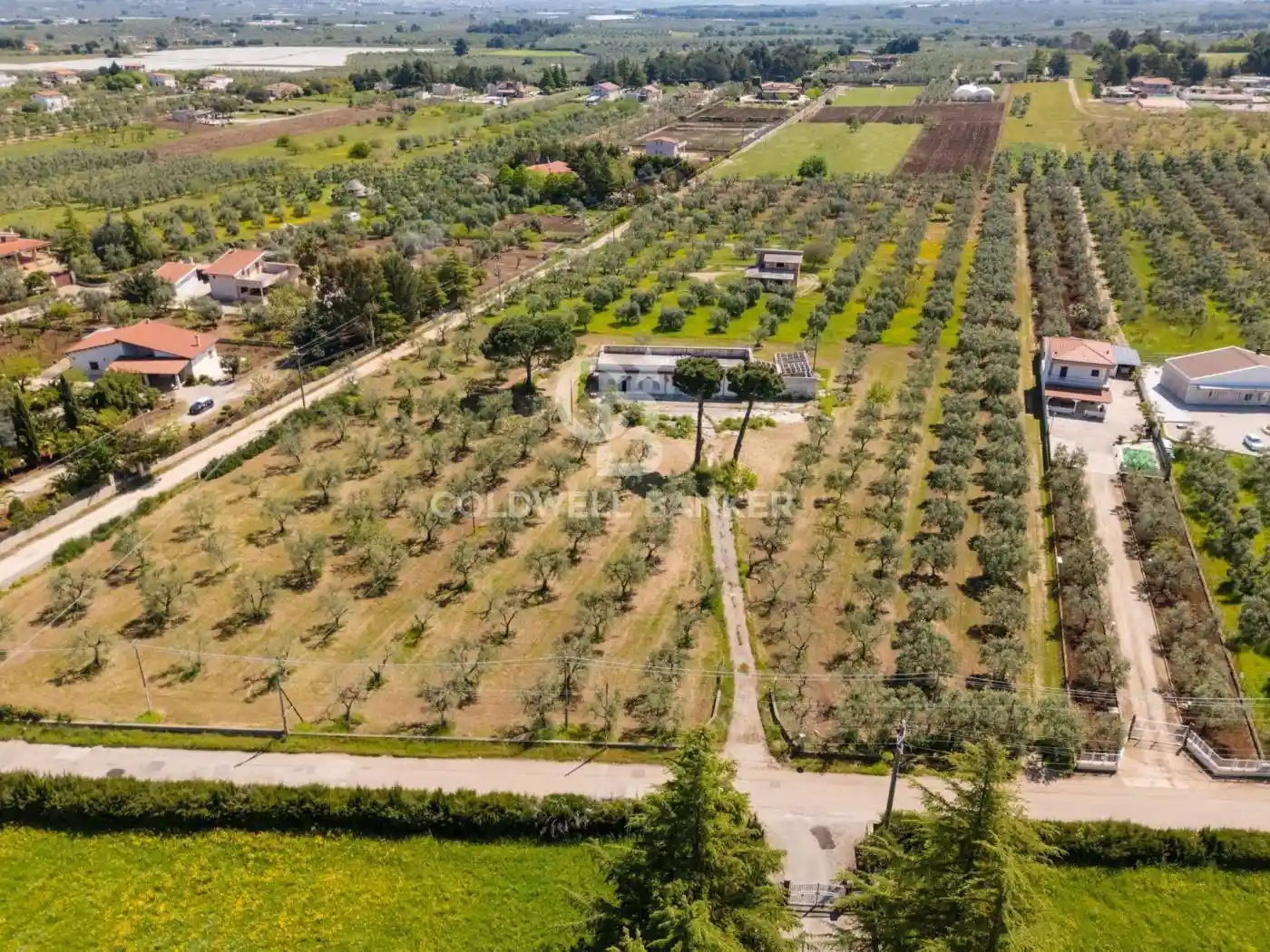 Villa in vendita a Corato