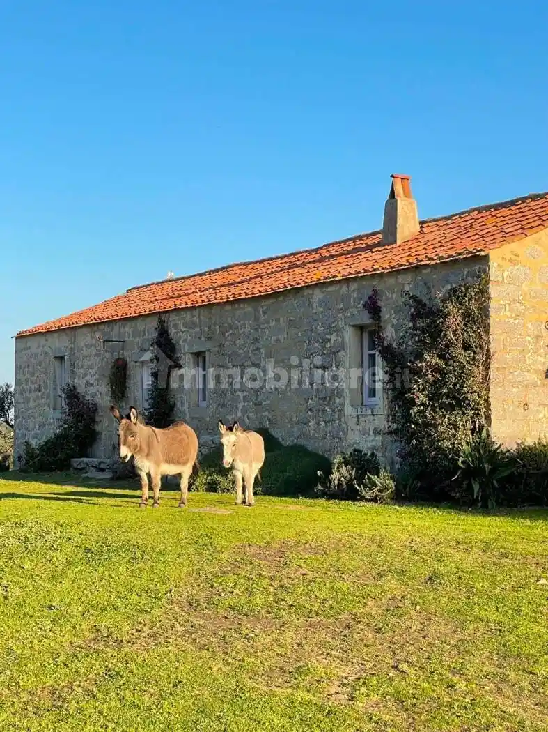 Rustico - Casale in vendita a Palau