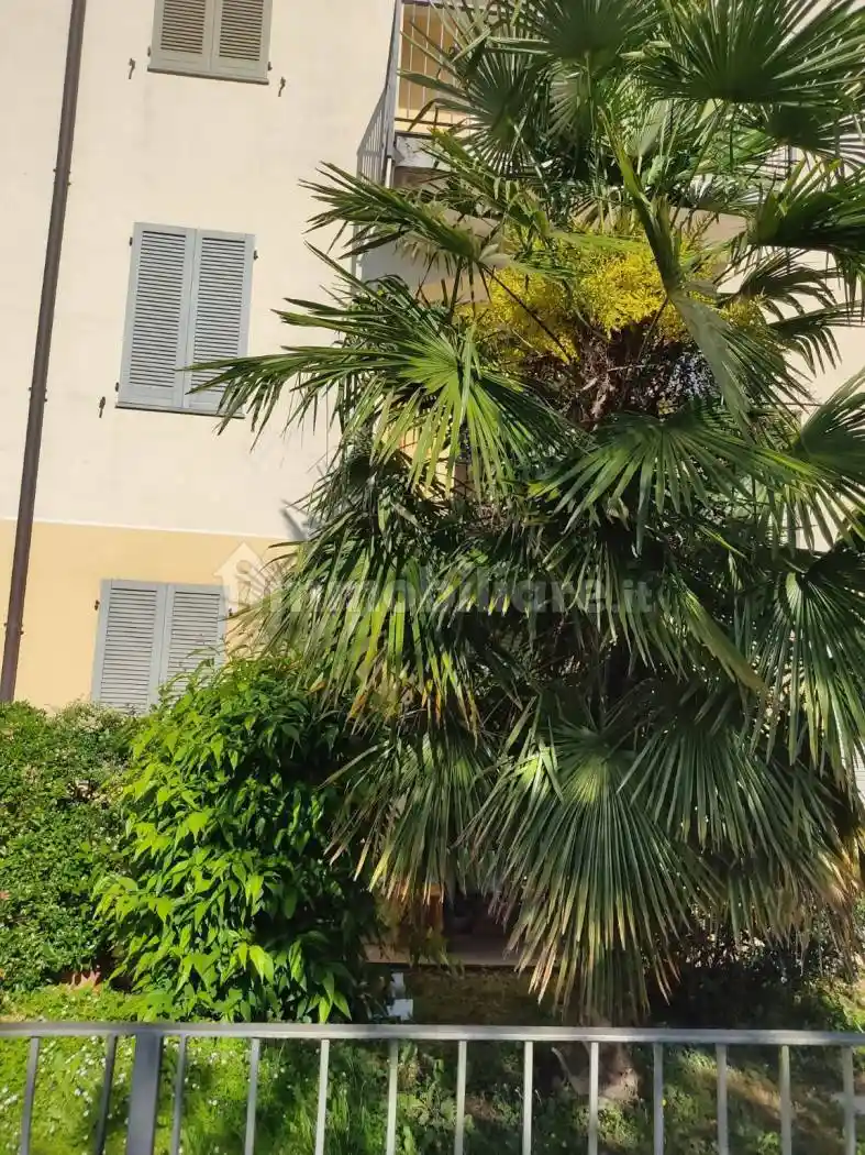 Appartamento in vendita a Gornate-Olona
