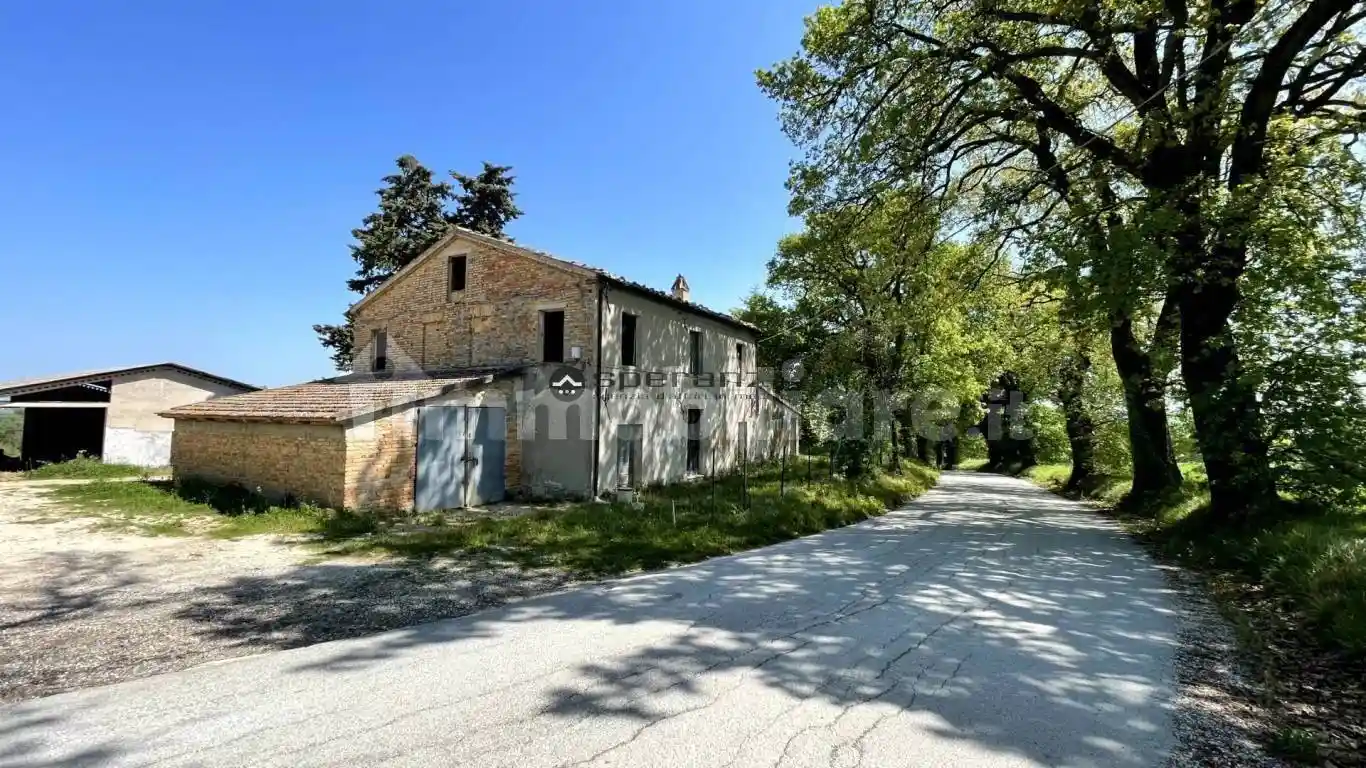 Rustico - Casale in vendita a San Lorenzo in Campo