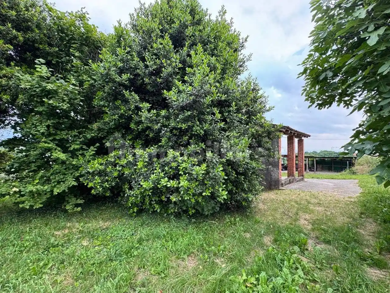 Rustico - Casale in vendita a Colceresa