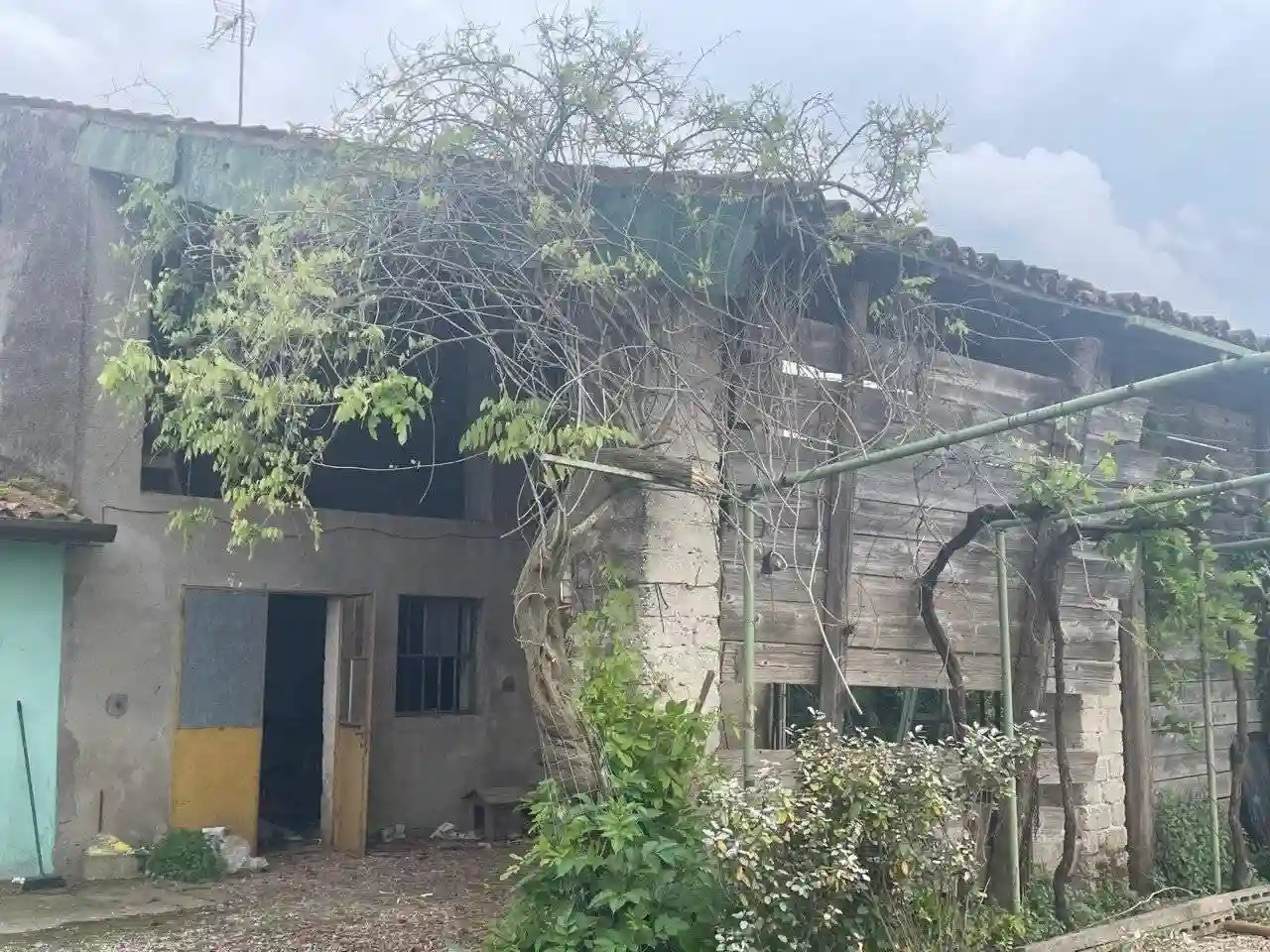 Rustico - Casale - foto 4