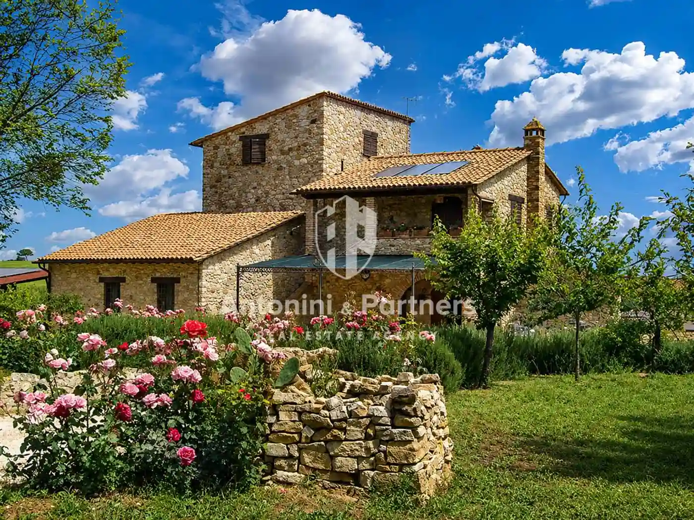 Rustico - Casale - foto 3