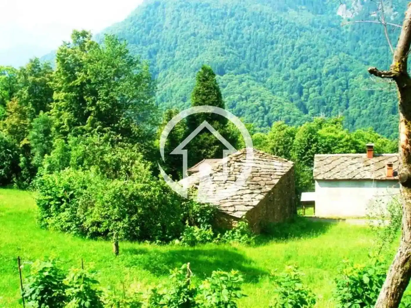 Rustico - Casale in vendita a Angrogna