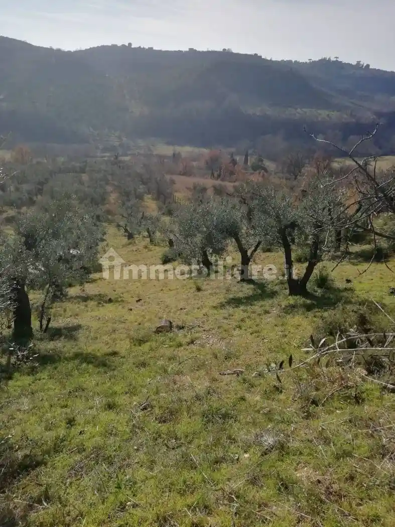 Rustico - Casale in vendita a Nerola