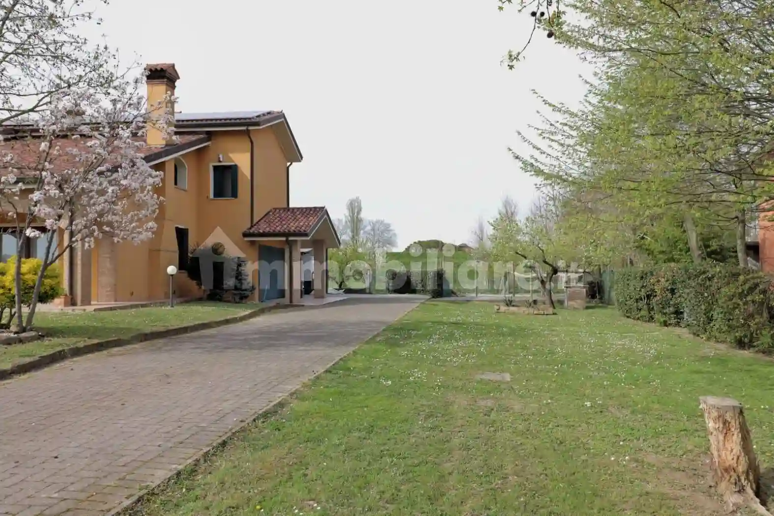 Villa - foto 5