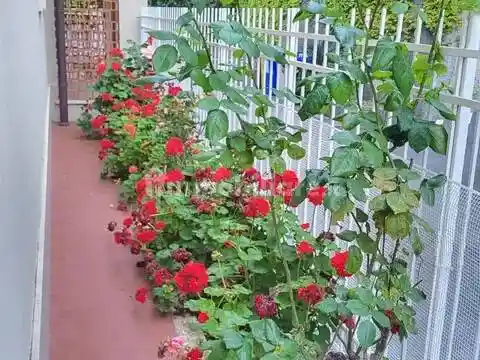 Appartamento in vendita a Ceriale