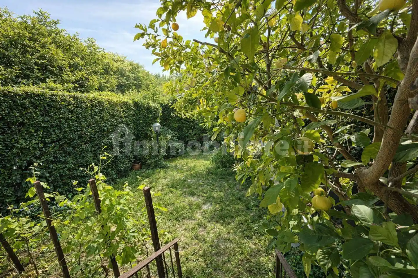 Villetta a schiera in vendita a Calci