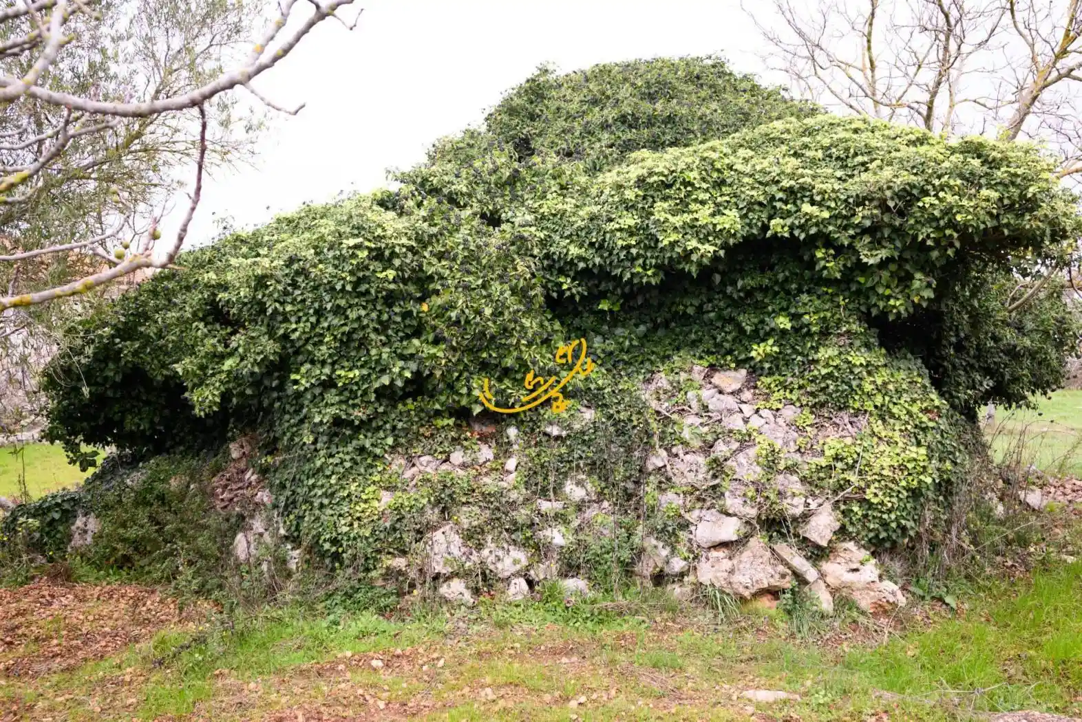 Rustico - Casale in vendita a Noci