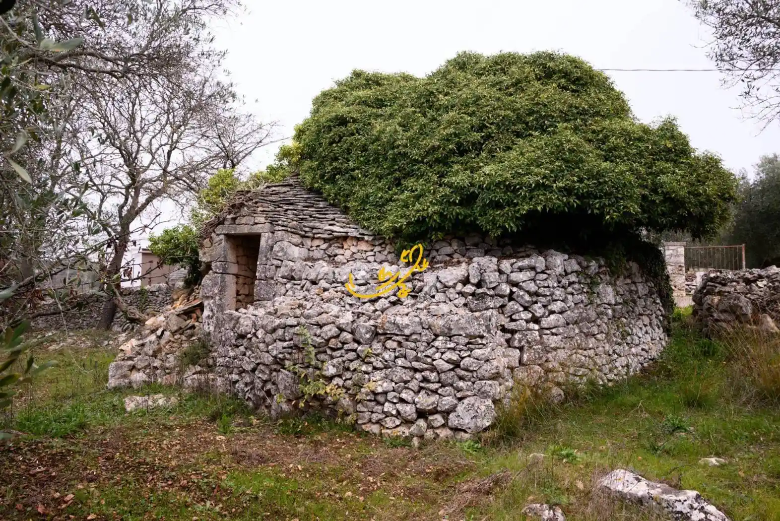 Rustico - Casale in vendita a Noci