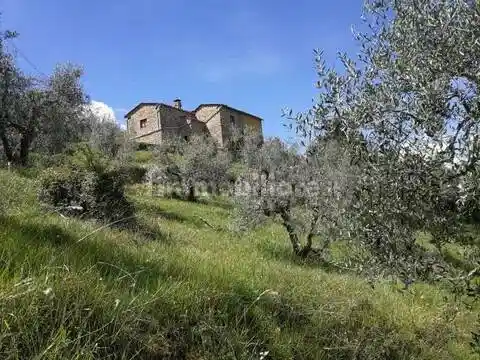 Rustico - Casale in vendita a Carmignano