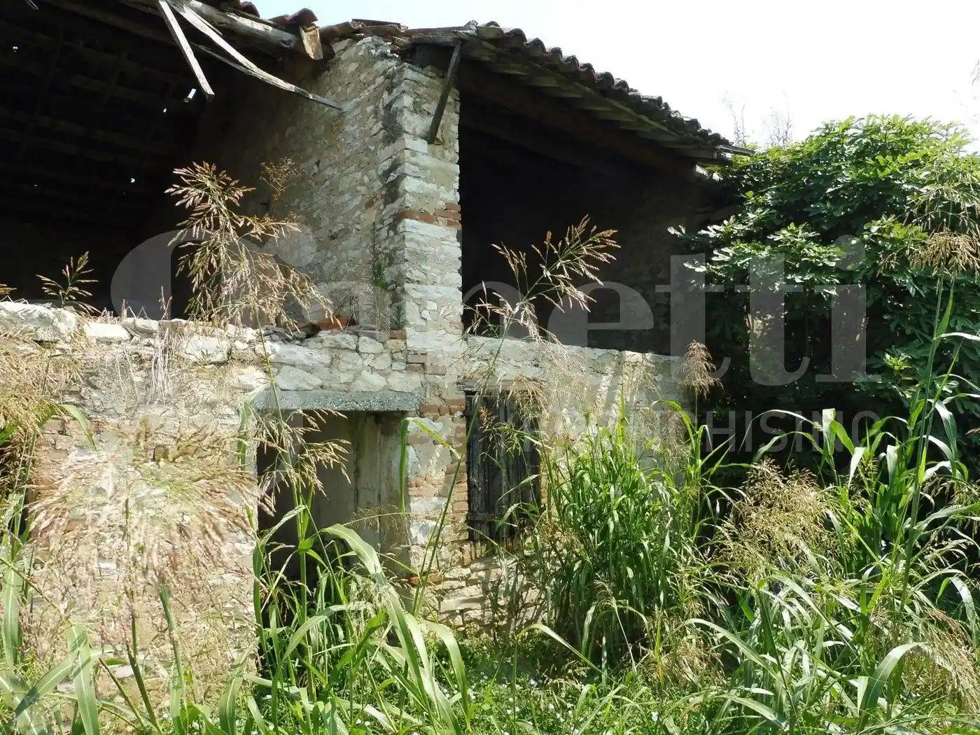 Rustico - Casale in vendita a Agugliaro