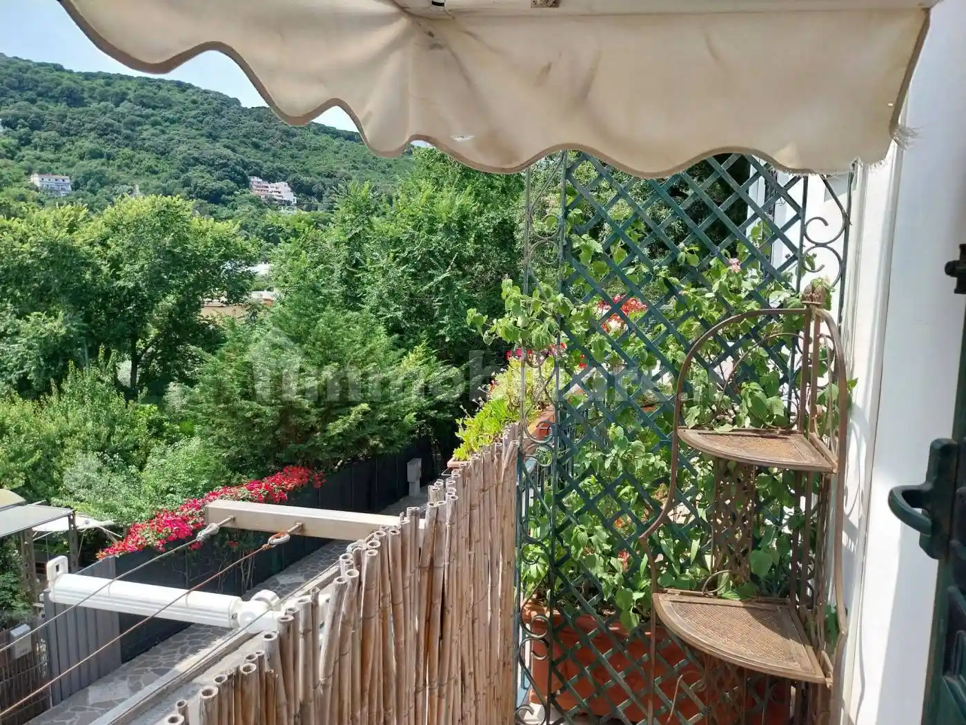 Appartamento in affitto a San Felice Circeo