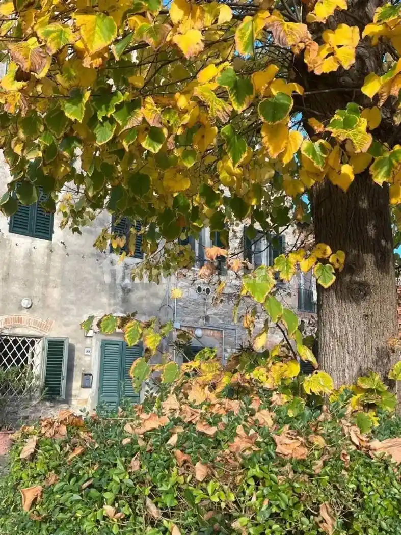 Villa in vendita a Capannori