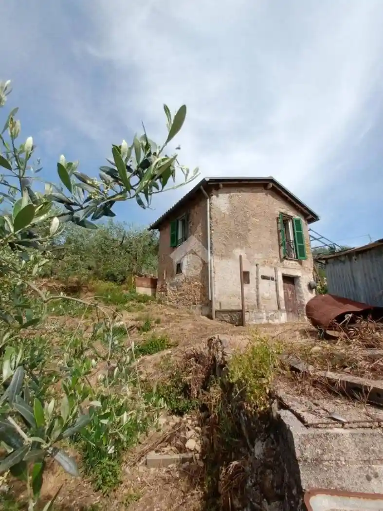 Rustico - Casale in vendita a Olevano Romano