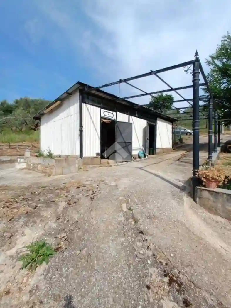Rustico - Casale - foto 5