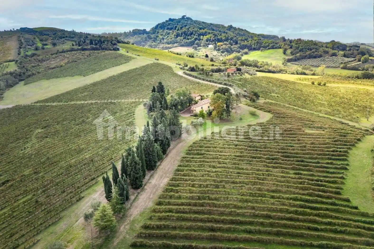 Rustico - Casale in vendita a Brisighella