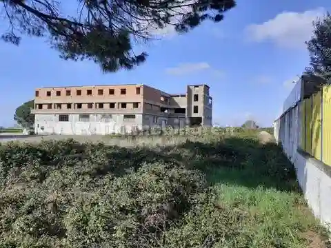 Palazzo - Edificio - foto 2