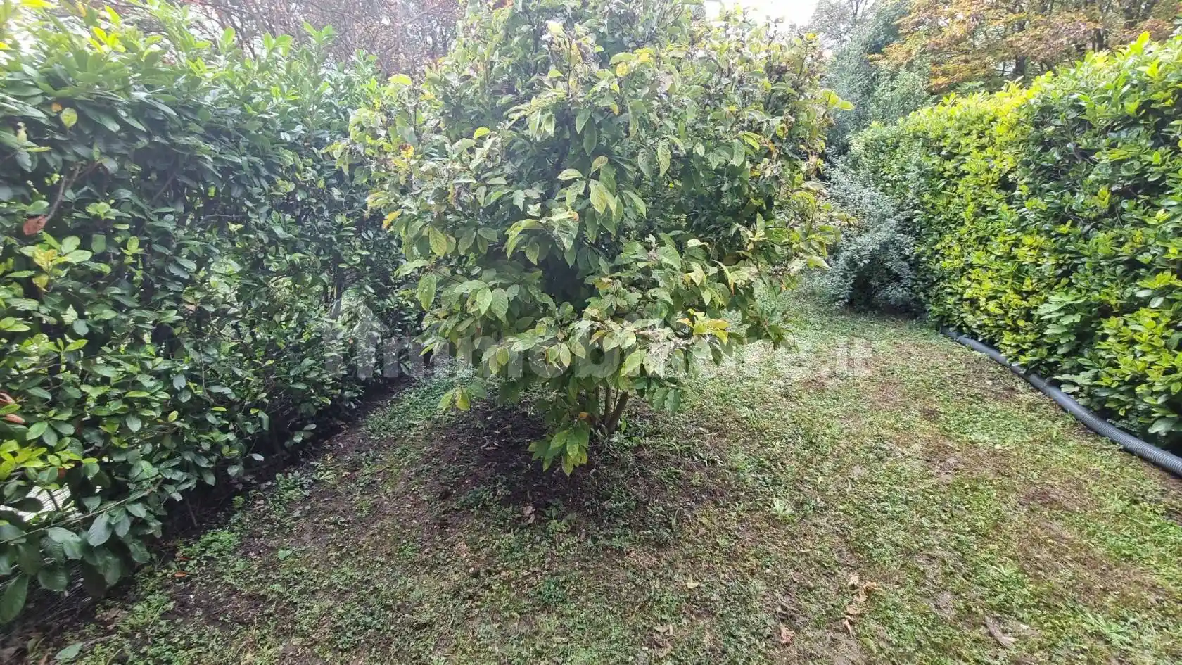 Villetta a schiera in vendita a Padova