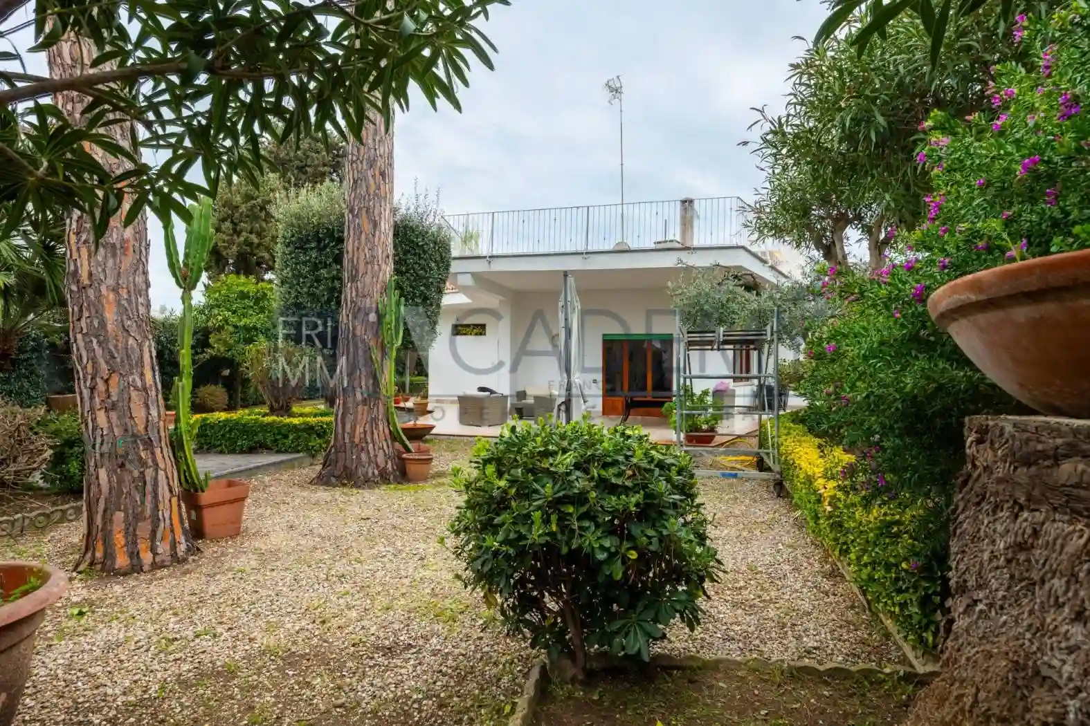 Villa - foto 5