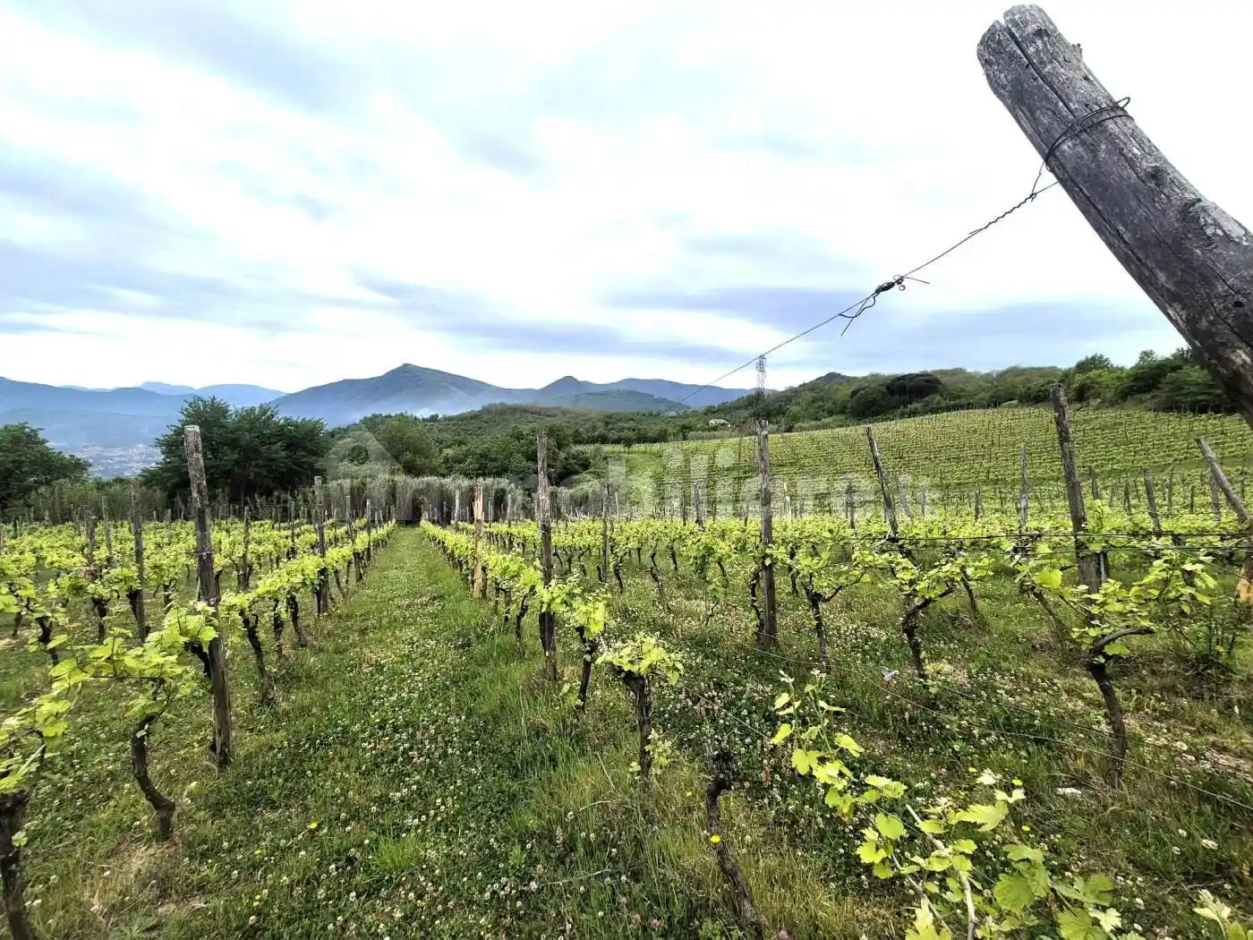 Rustico - Casale in vendita a Contrada