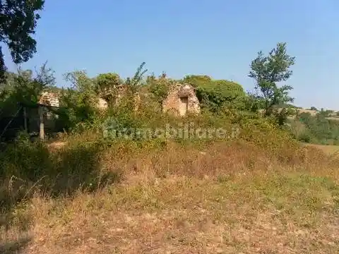 Rustico - Casale in vendita a Sassoferrato