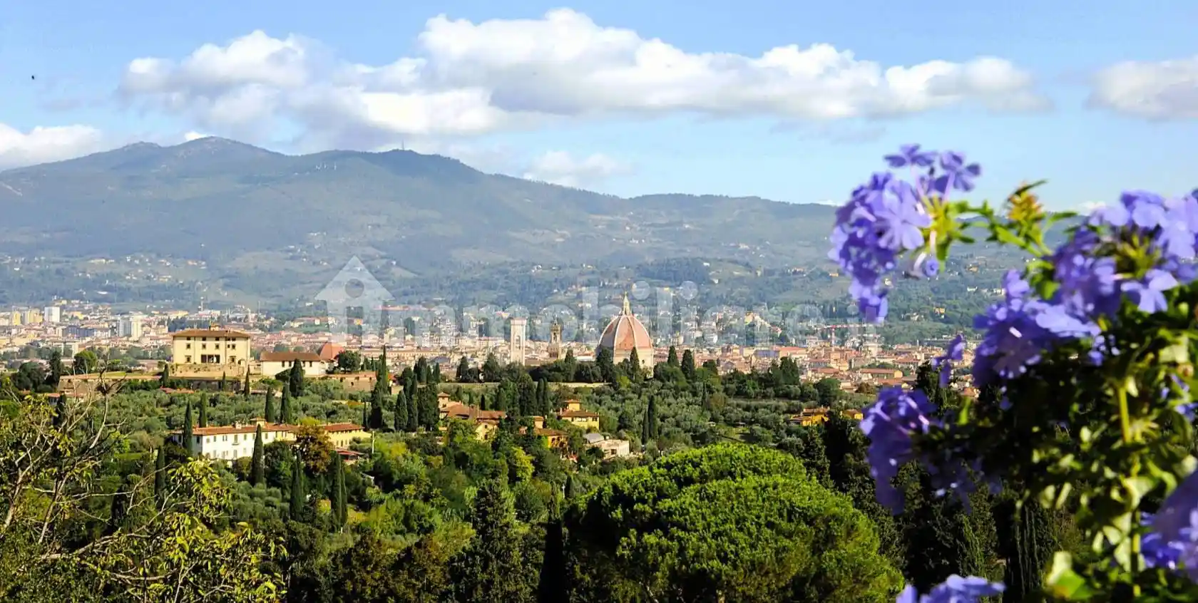 Villa in affitto a Firenze