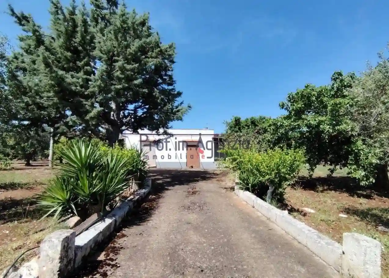 Rustico - Casale - foto 2