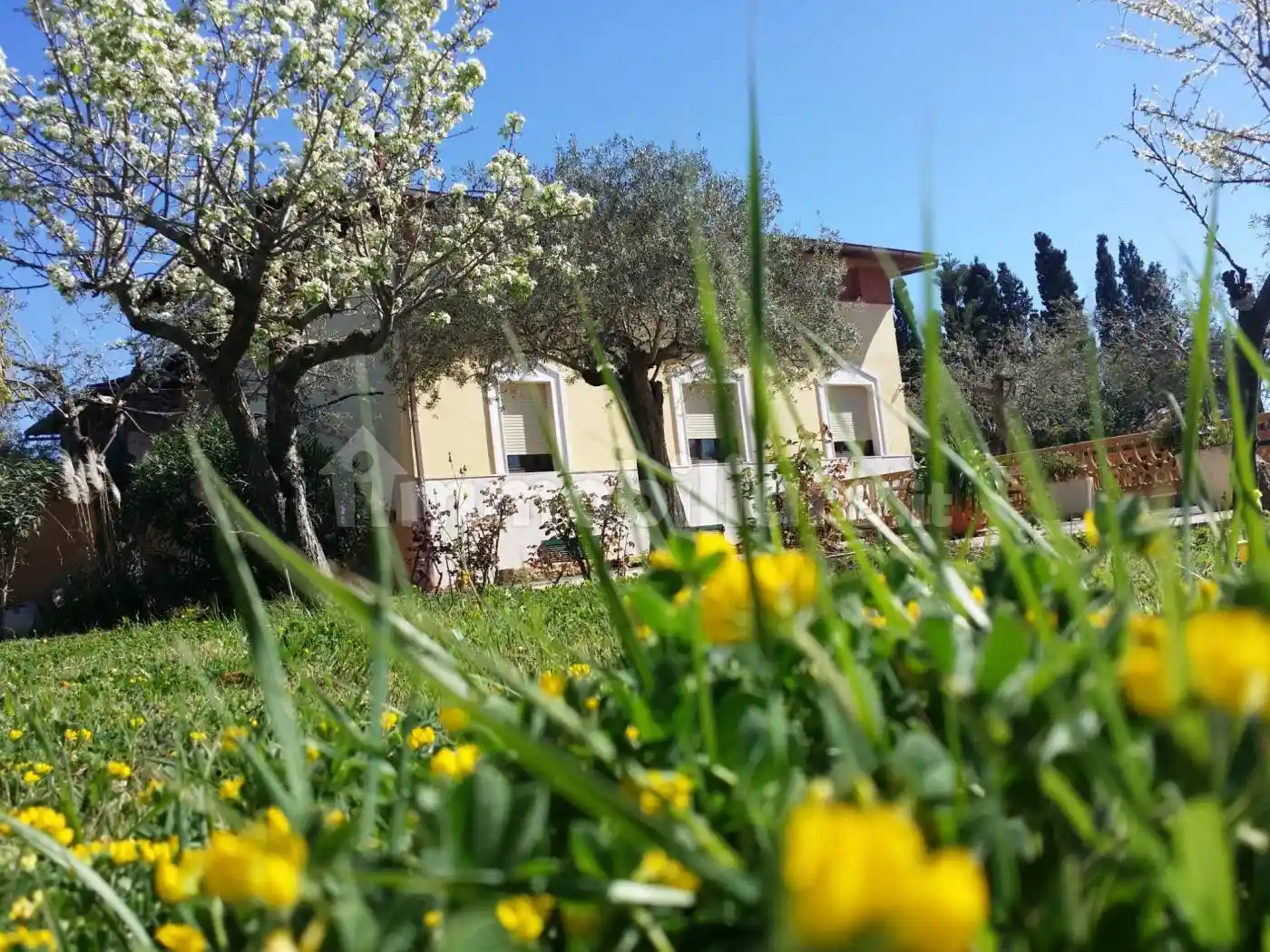 Villa in vendita a Alghero