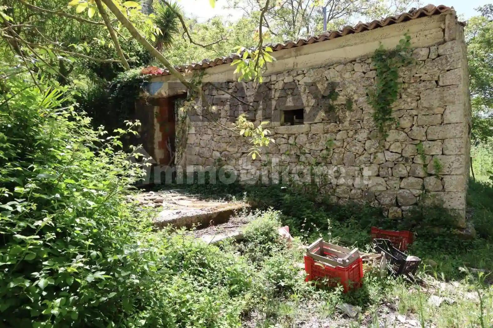 Rustico - Casale - foto 2