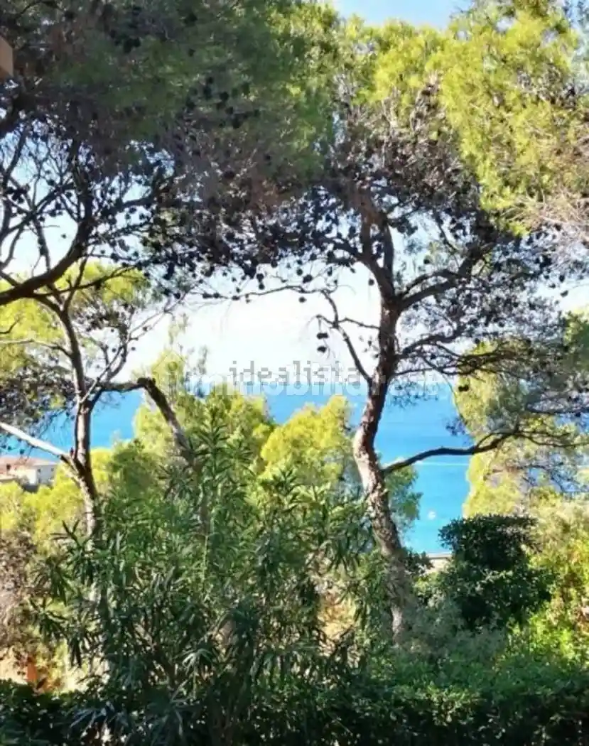 Appartamento in affitto a Rosignano Marittimo