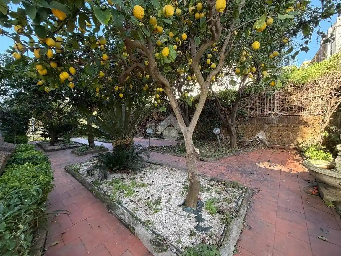 Appartamento in affitto a Napoli
