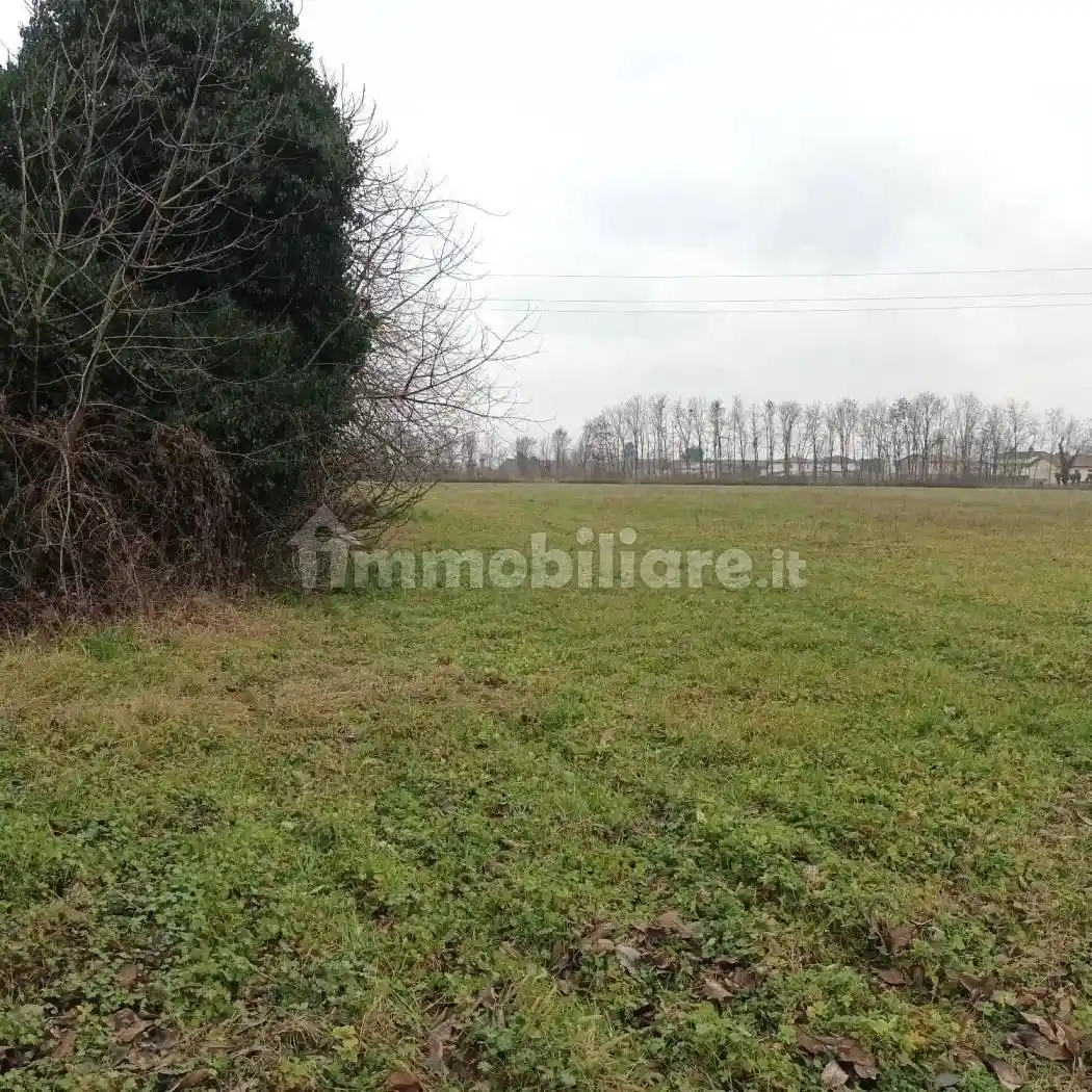 Rustico - Casale in vendita a Istrana