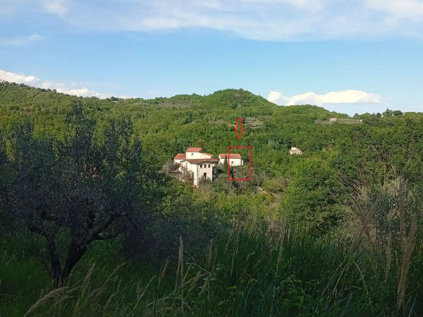 Casa indipendente in vendita a Scapoli