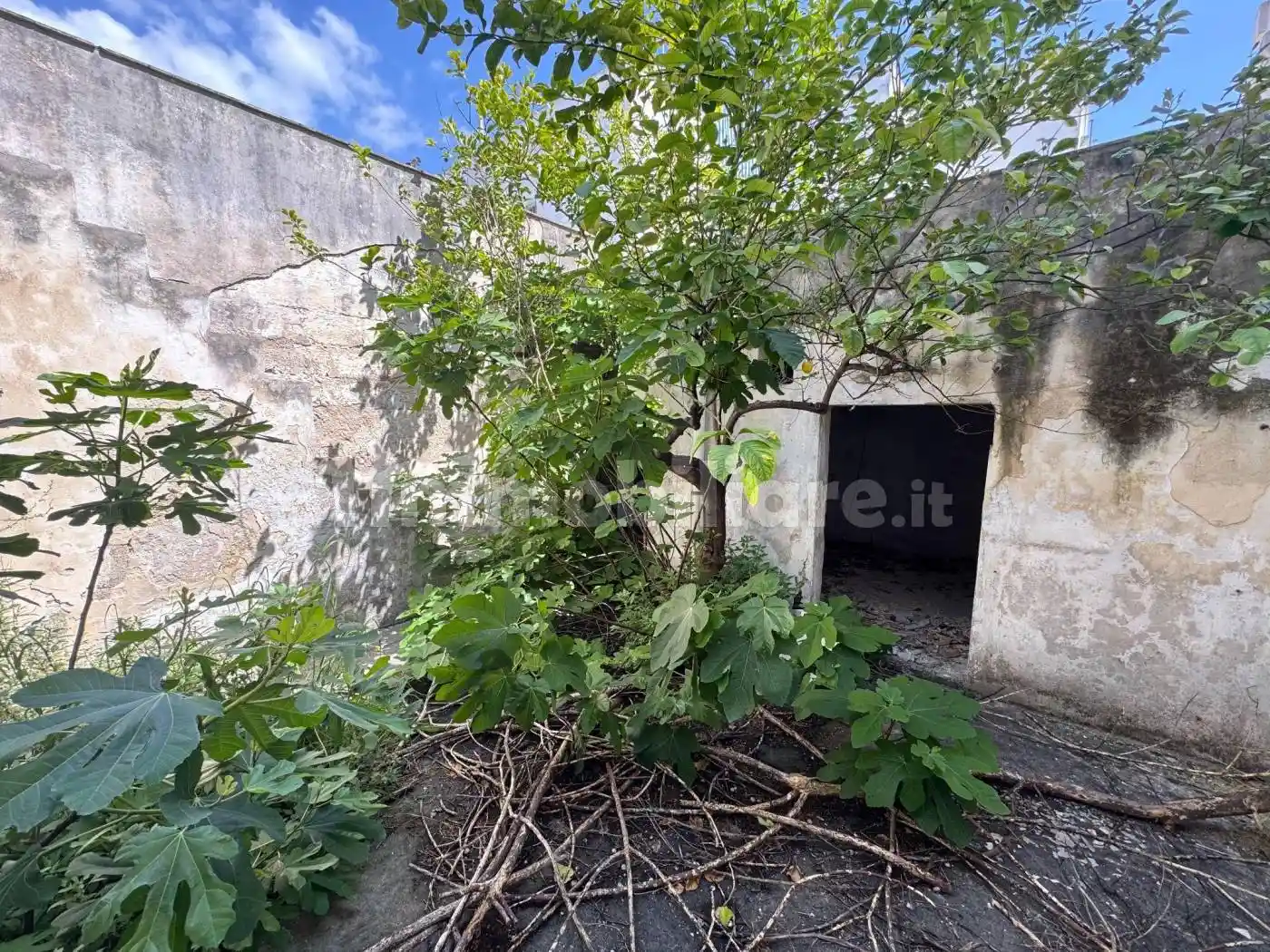 Casa indipendente in vendita a Monteiasi
