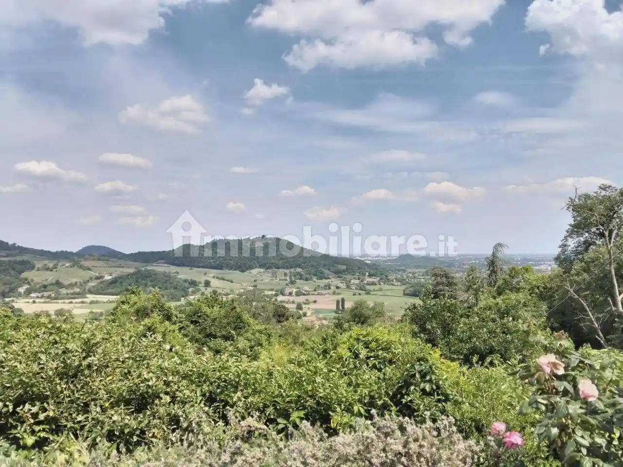 Appartamento in affitto a Torreglia