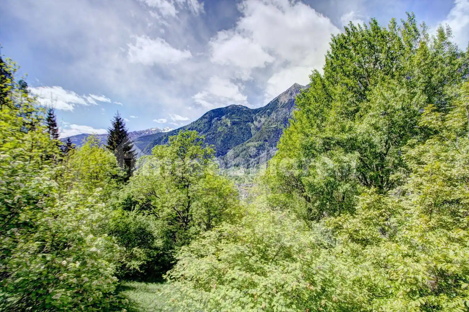 Rustico - Casale in vendita a Bocenago