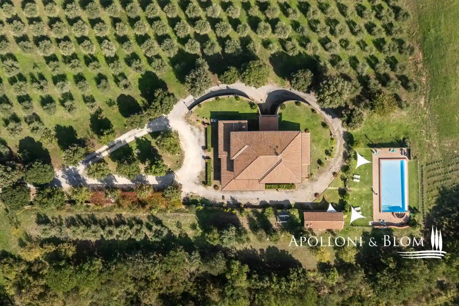 Rustico - Casale - foto 5