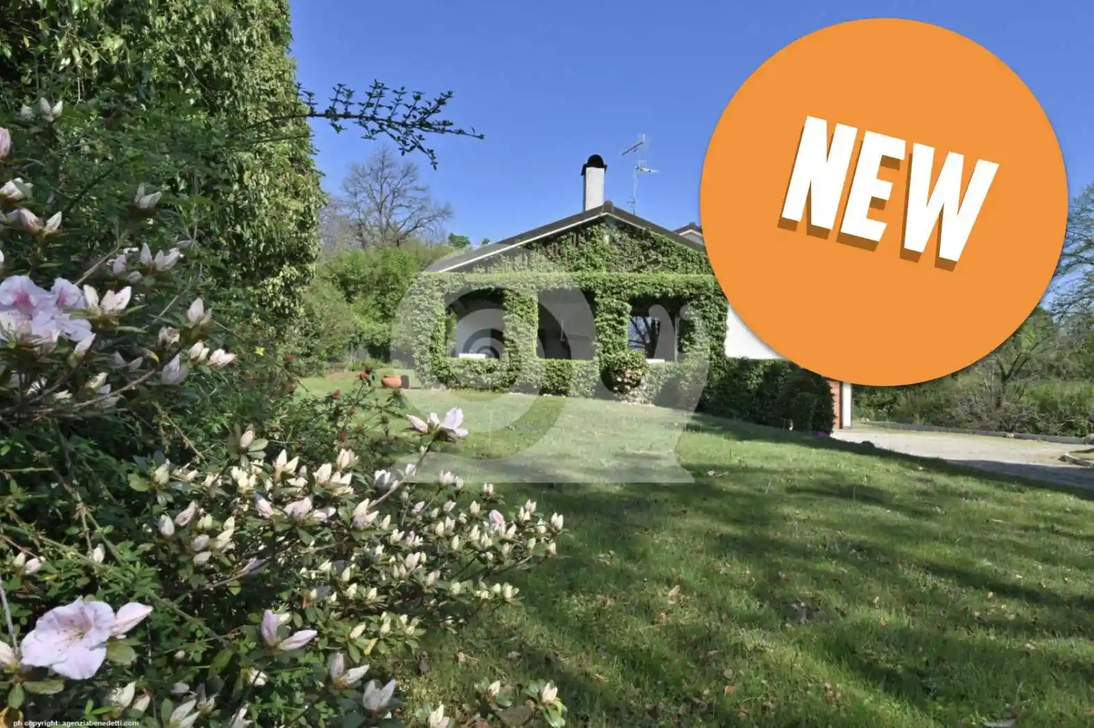 Villa in vendita a Cassacco