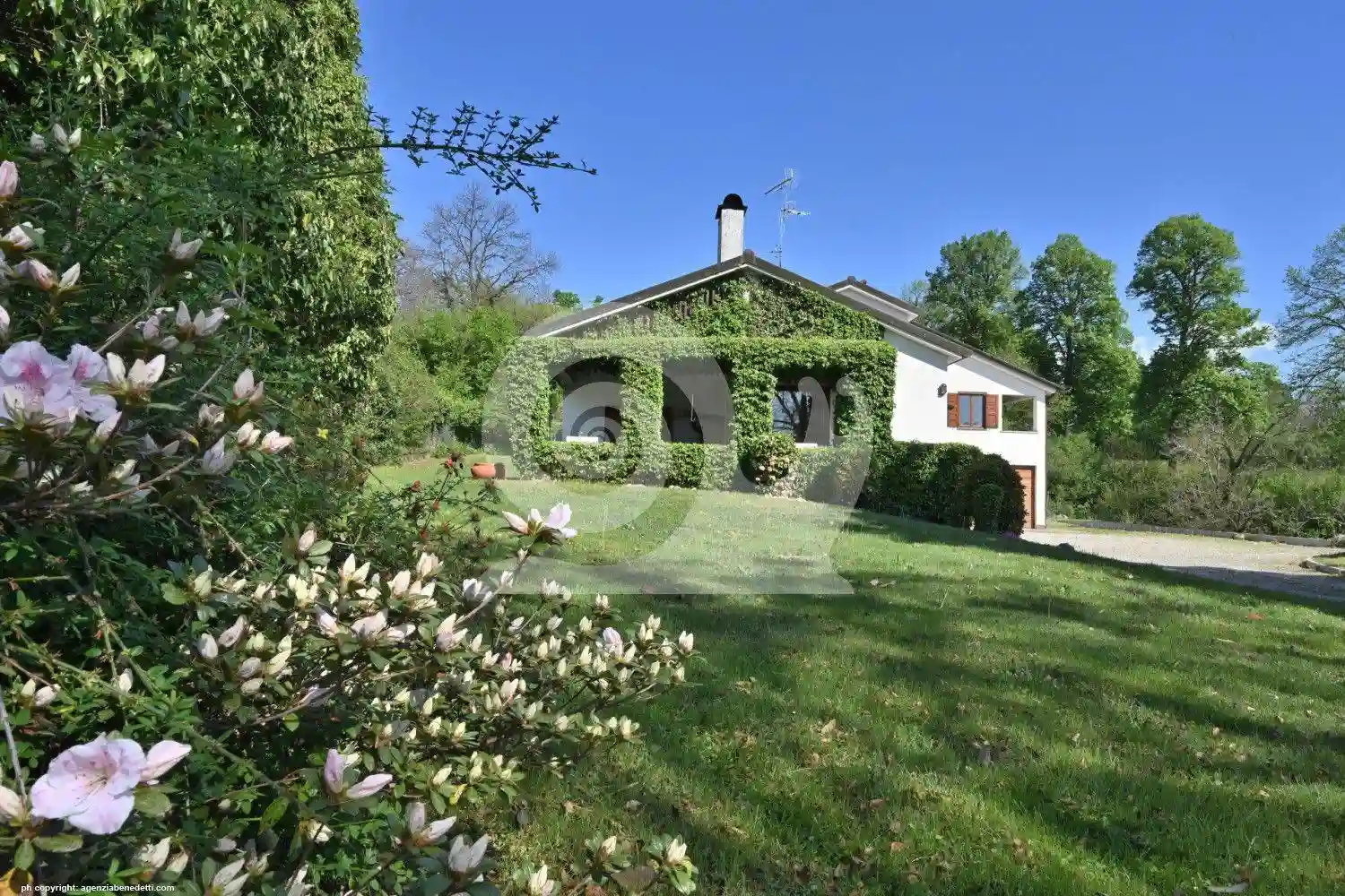 Villa - foto 2