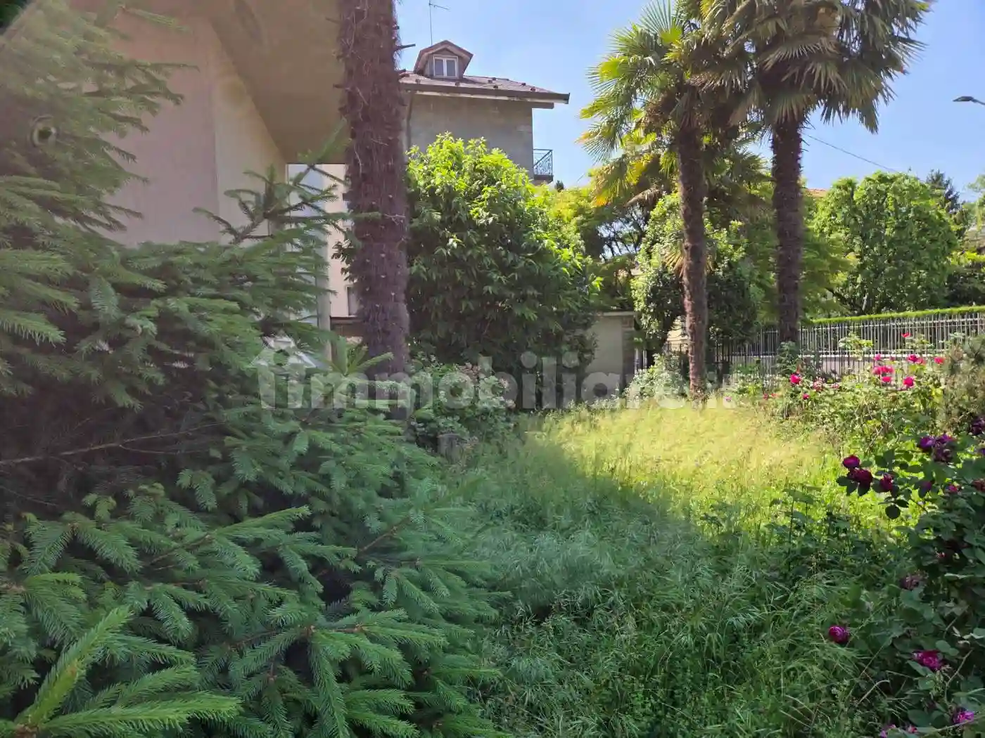 Palazzo - Edificio - foto 3