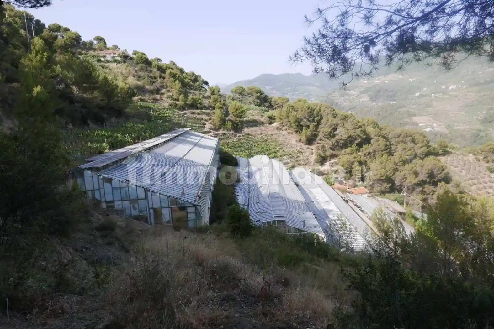 Villa in vendita a Soldano