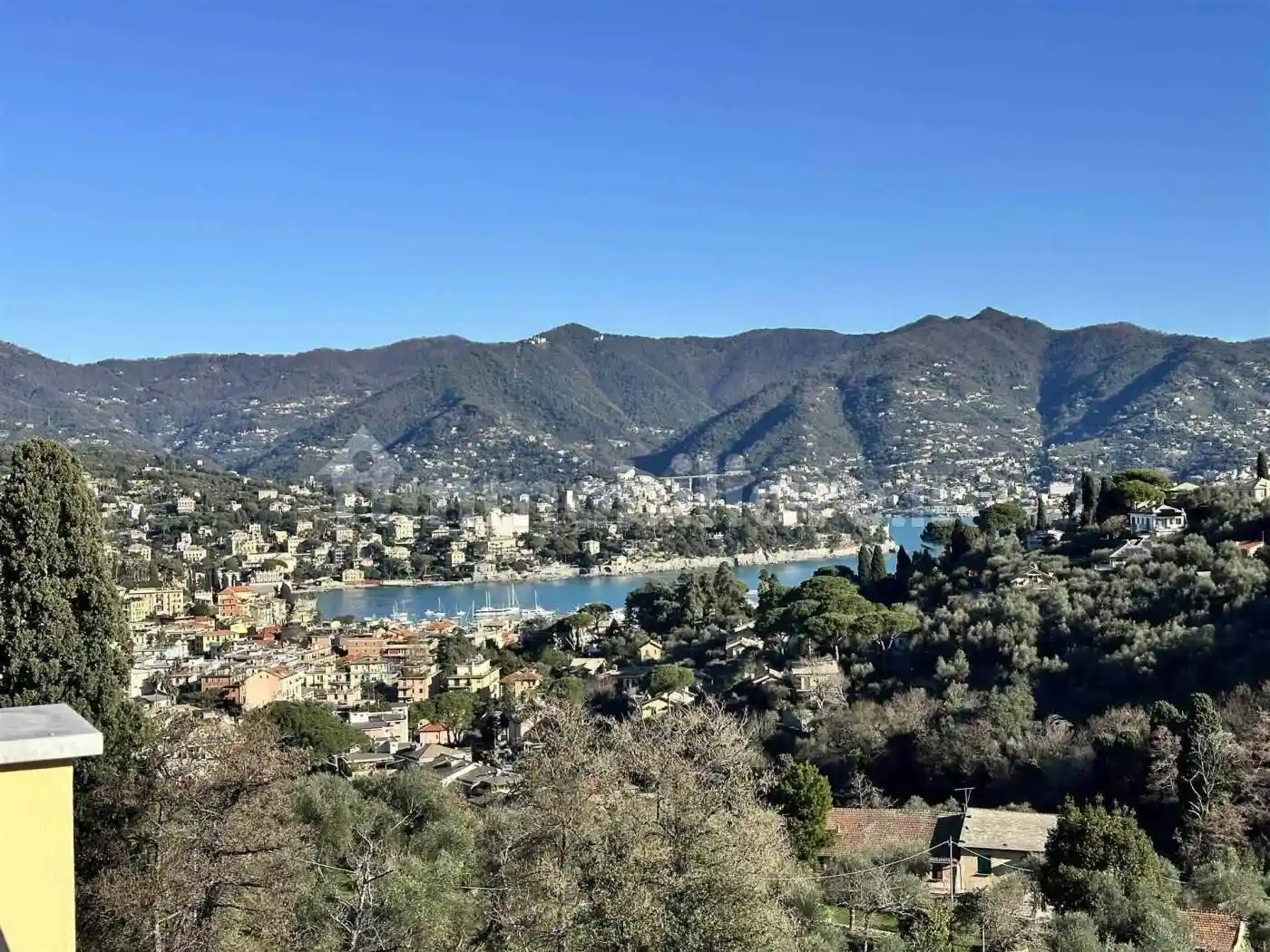 Villa in affitto a Santa Margherita Ligure