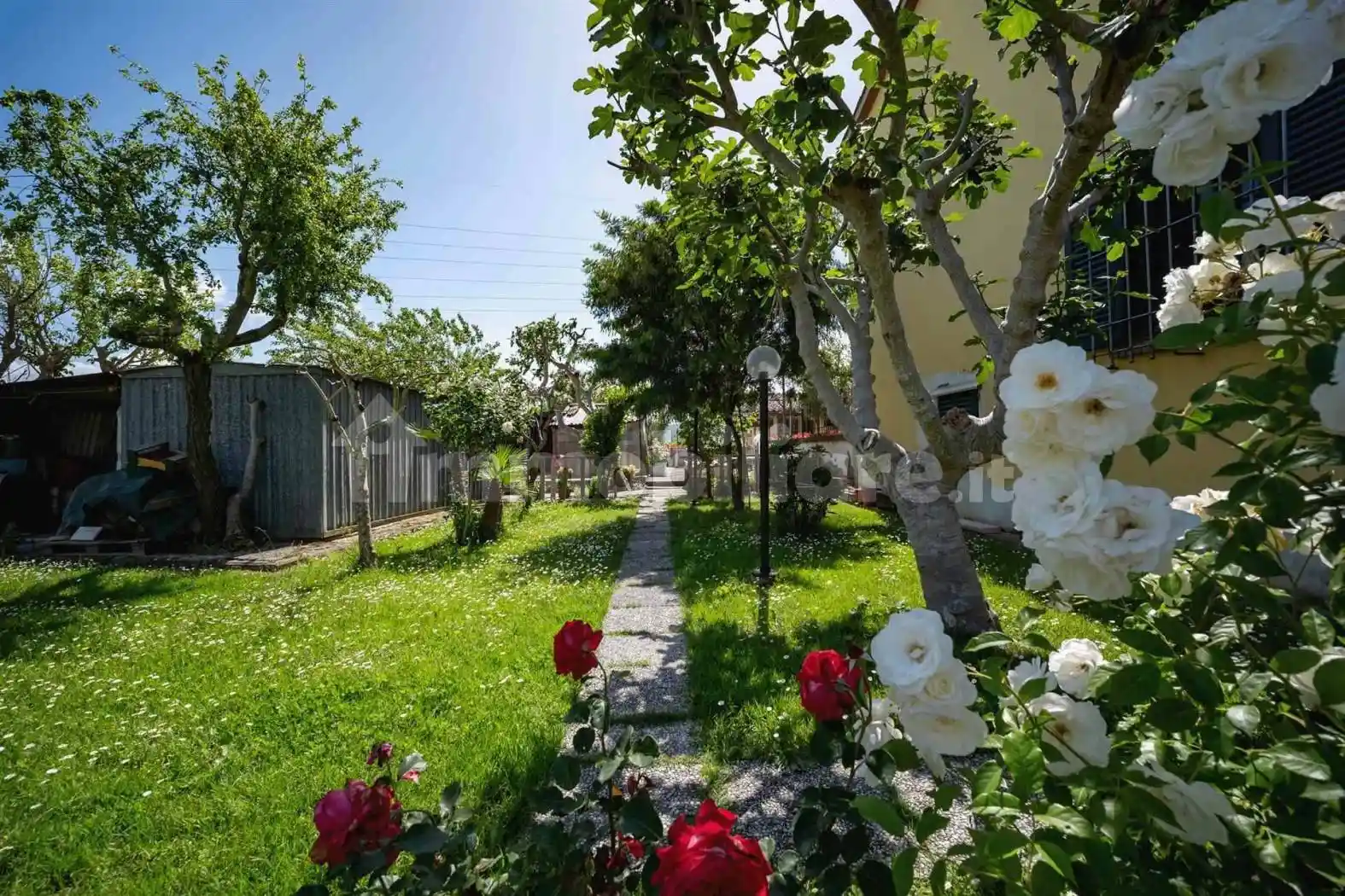 Casa indipendente in vendita a Signa