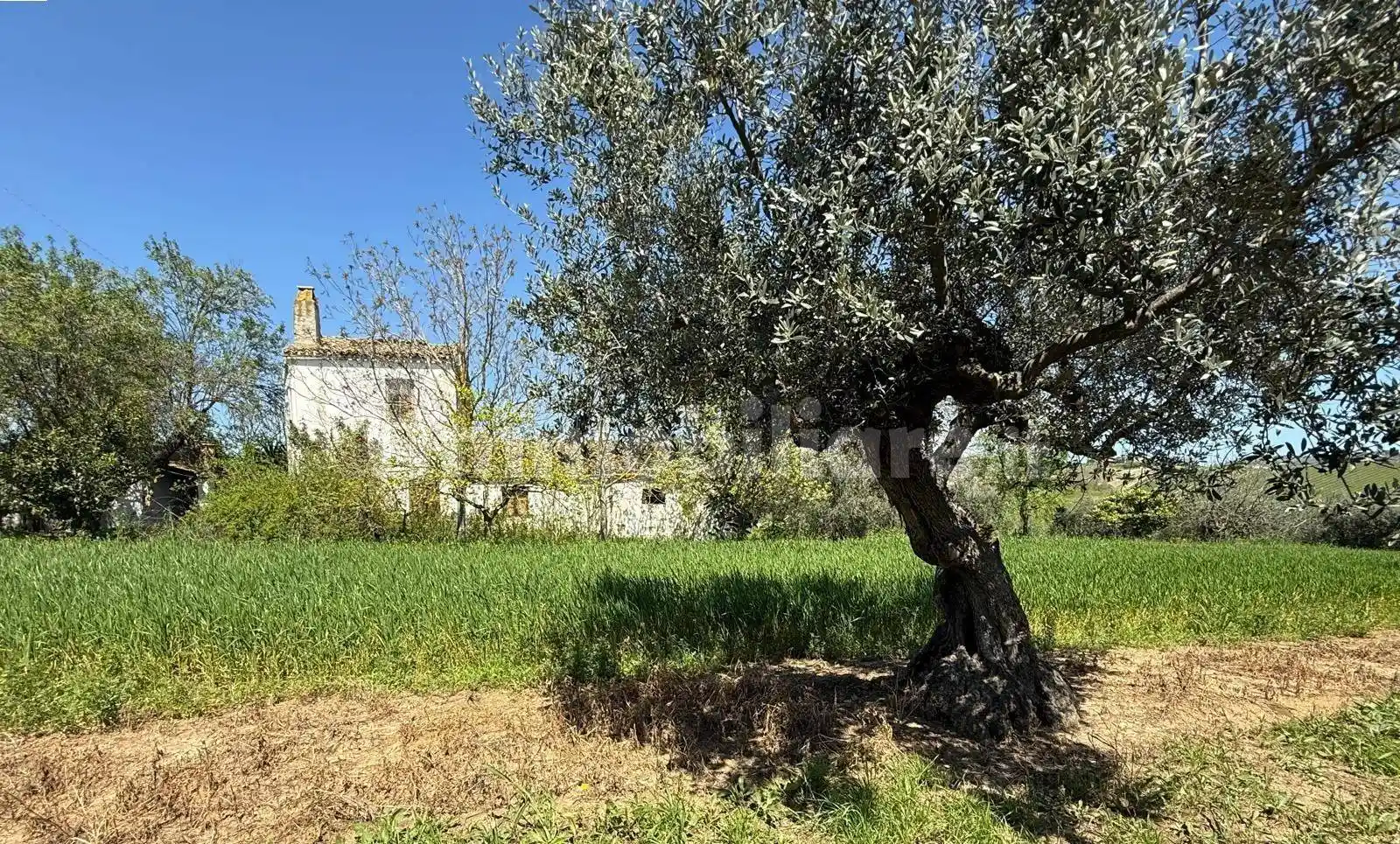 Rustico - Casale in vendita a Città Sant'Angelo