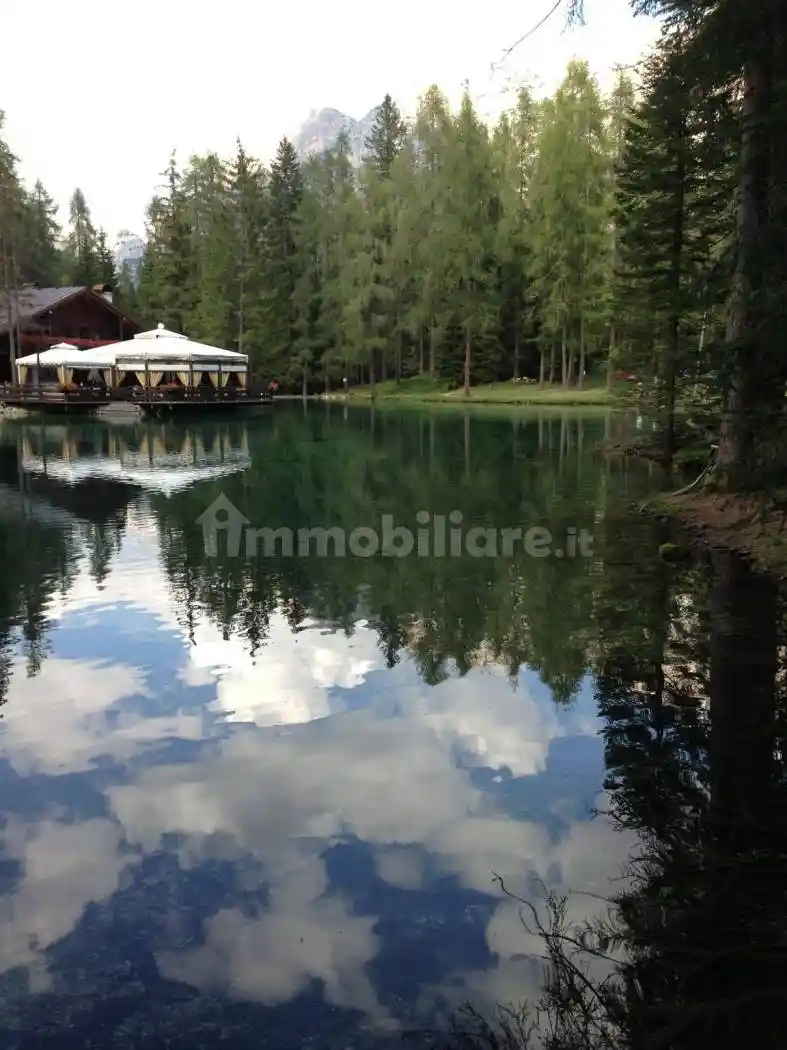 Appartamento in affitto a Cortina d'Ampezzo