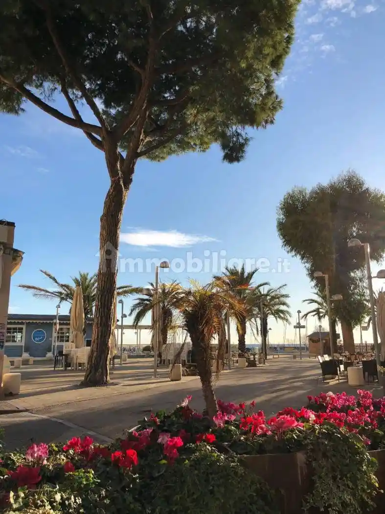 Appartamento in affitto a Taggia