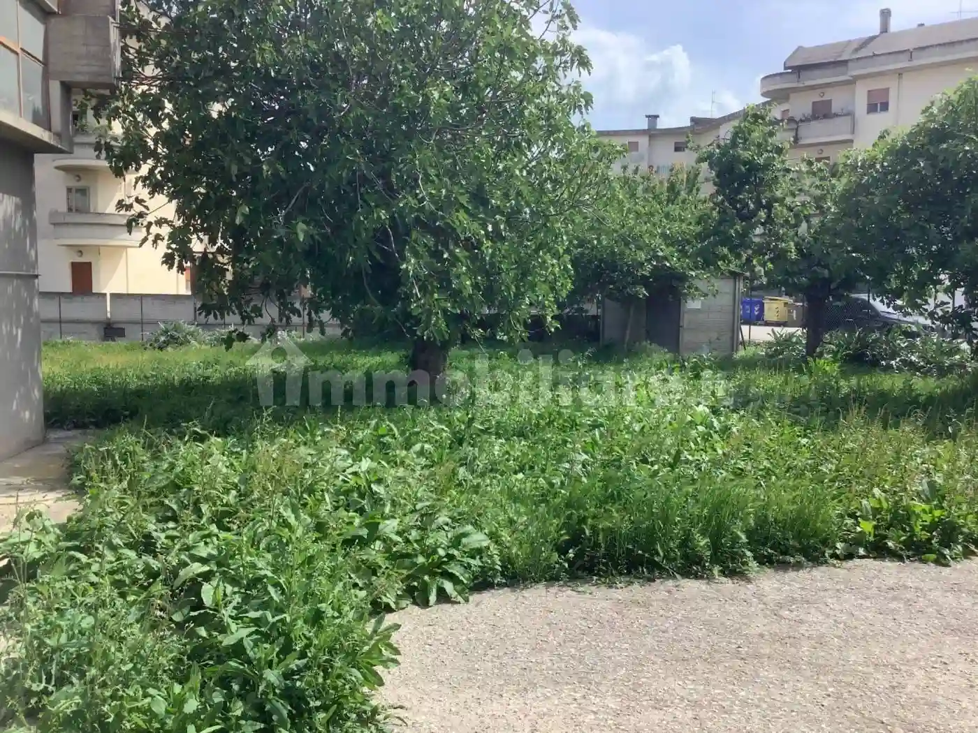 Palazzo - Edificio - foto 3